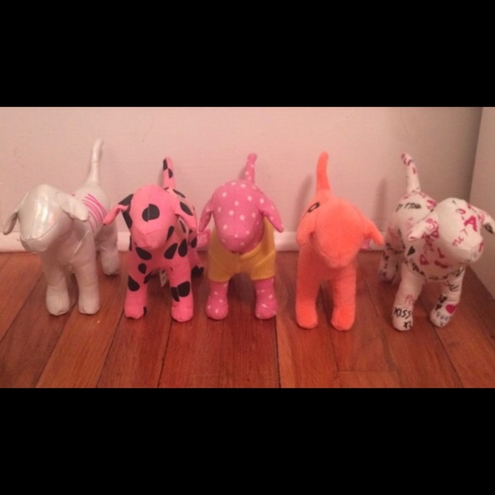5 Victoria Secret Dogs